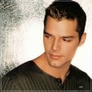 Livin` La Vida Loca : Ricky Martin 이미지