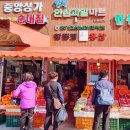 형제인삼과일