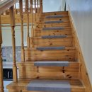 더스테이 골드독 이미지