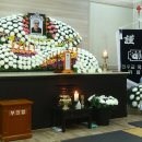 비비안나 이미지