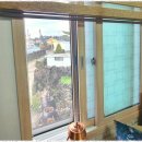 복순이네 이미지