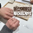 골드 피시존 (인-246) | [울산 예물샵] 울산 웨딩밴드 투어 반조애 계약후기 (백작/D102/에스메랄다/반조애)