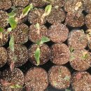 잘커농장 이미지