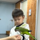 퐁피두창의스쿨어린이집 이미지