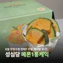 성심당 메론시루 한정 판매 언제까지? 케익부띠끄 주말 웨이팅 후기 오픈런 꿀팁까지