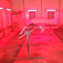 일등공업사 이미지