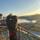 DNA Motors 노동조합 | ☆⋆｡𖦹 °• ★