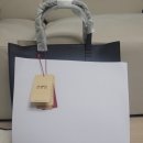 309001 | 쌤소나이트 레드 BAYNES 토트백 BLACK GW309001 남자 크로스백 선물 후기 및 추천