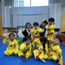 용인대 NO1 태권도장 이미지