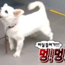 엄마손보리밥 이미지