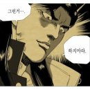 미오미오 고양이분양 | 캣츠앤독스[R.E.A.L.분양후기★