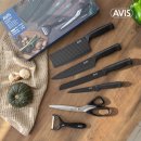 아비스 (avis)