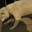 동원농장 이미지