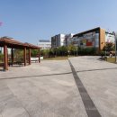 새론초교병설 이미지