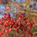 주차장 | 김포공항 주차비용 할인 근처 주차장 후기