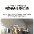 준 꽃벵이