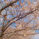 별내면행정타운 이미지