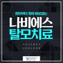 나비에스한의원 이미지