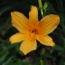 상사회관 이미지