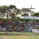 신리할머니 Daum카페