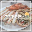 회인시장 | 포항 죽도시장 맛집 갈릴리대게회식당 속살 가득한 박달대게 추천 후기