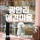 봄봄그루밍샵 이미지