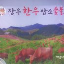 장우암소숯불