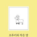 브루키