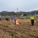 풍세면행정복지센터 네이버블로그