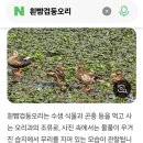 우포늪아~!! 이미지