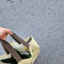토란주인 | 반려식물 1:1 상담소 - 2번째 이용하는 서울시 반려식물 클리닉, 종로구반려식물클리닉센터 후기