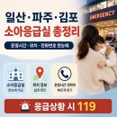화수로14번길 | 일산·파주·김포 소아응급실 총정리 | 운영시간·위치·전화번호 한눈에