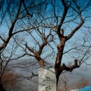 부여관광회관 이미지