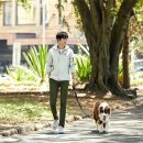 노을5(바람의광장) 이미지