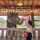 상아농장 | [라오스] 루앙프라방 짧은 액티비티 추천 &#39;코끼리캠프(Elephants Camp)&#39; 먹이 주기 체험