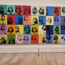 Brown Dog | 뉴욕에 가게 된다면 여기도 꼭