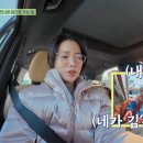 알로안경 이미지