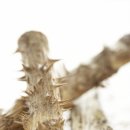 보창한의원 이미지