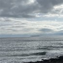 제주 서귀포 쇠소깍 | 제주여행 서귀포 쇠소깍 테우 후기