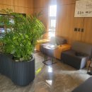 흥해점기아오토큐 이미지