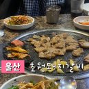 옥교갈비 | [울산] 초원돼지갈비 ( 성남동 돼지갈비 명인 맛집 / 도드람 한돈 /울산고기집 )