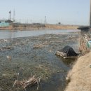 수문농장 이미지