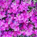 (주)주안시범공단 이미지