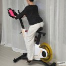 1020 휘트니스 센터 | 집에서 하는 유산소운동 킹스미스 홈트 실내자전거 사용후기