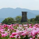 첨성대하우스 이미지