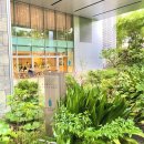 애플관광호텔 | 도쿄 롯폰기 블루보틀 도쿄여행 필수코스 커피계의 애플 카페 방문 후기