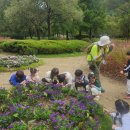 생활-생물-생태 프로그램 이미지