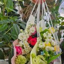 영플라워 | 관저동꽃집 영플라워샵 후기, 선물 준비하다가 반해버린 감성 꽃다발