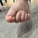 레푸스 앤 두두뷰티