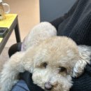 올바로 교육문화센터 이미지